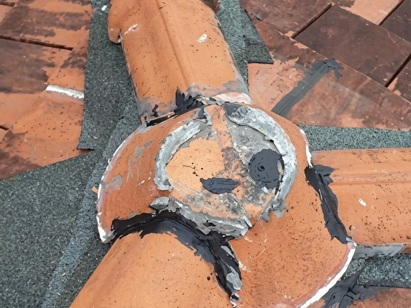 Roof Repair / Leaking