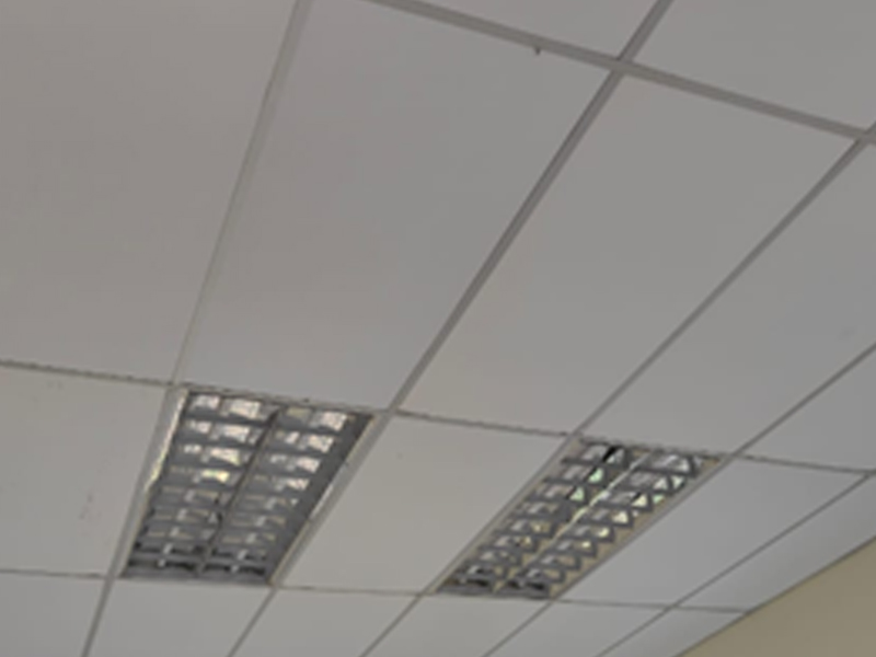 Ceiling / Drywall